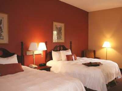 Hotel Hampton 3*