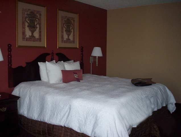Hotel Hampton 3*